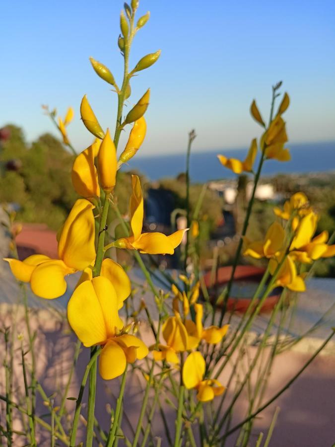 La Petite Maison Aci Castello Ngoại thất bức ảnh